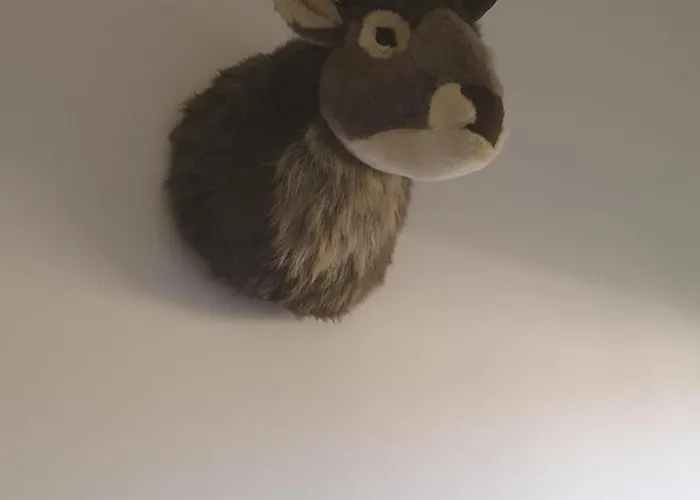 Apartment Huettenzauber Kirchdorf in Tirol